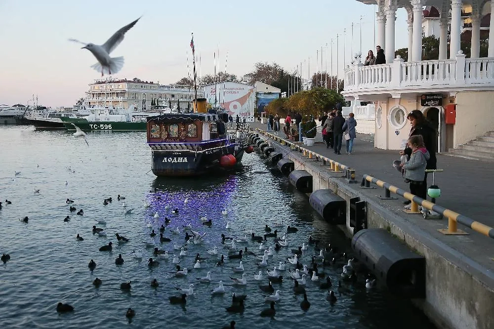 На побережье Черного моря температура зимой может быть ниже обычных показателей. Фото © ТАСС / Дмитрий Феоктистов