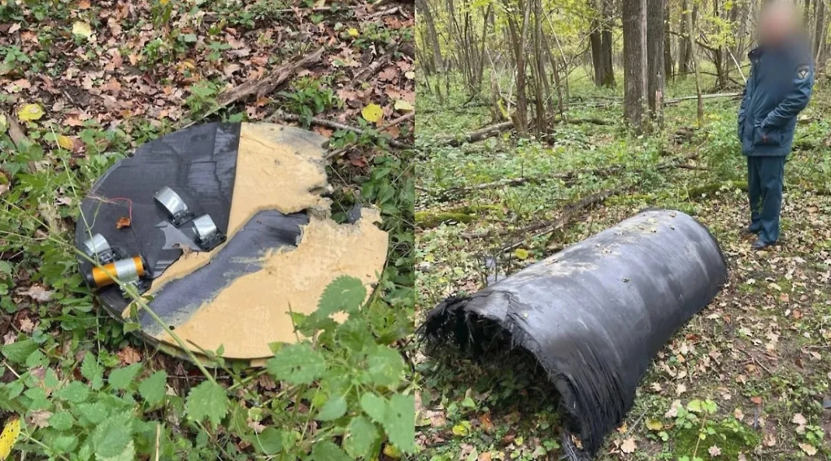 Обломки новой сбитой украинской ракеты «Фламинго». Обложка © Telegram / Кирилл Фёдоров / Война История Оружие