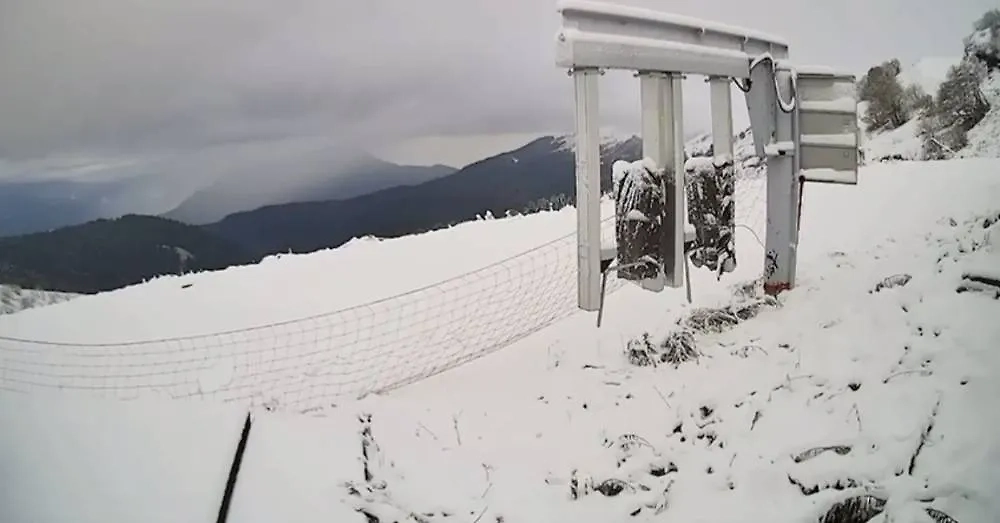 Обложка © Telegram / Сочи №1