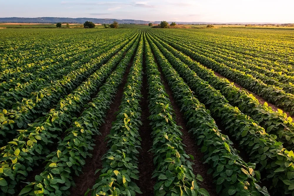 Обложка © Shutterstock / FOTODOM / Fotokostic