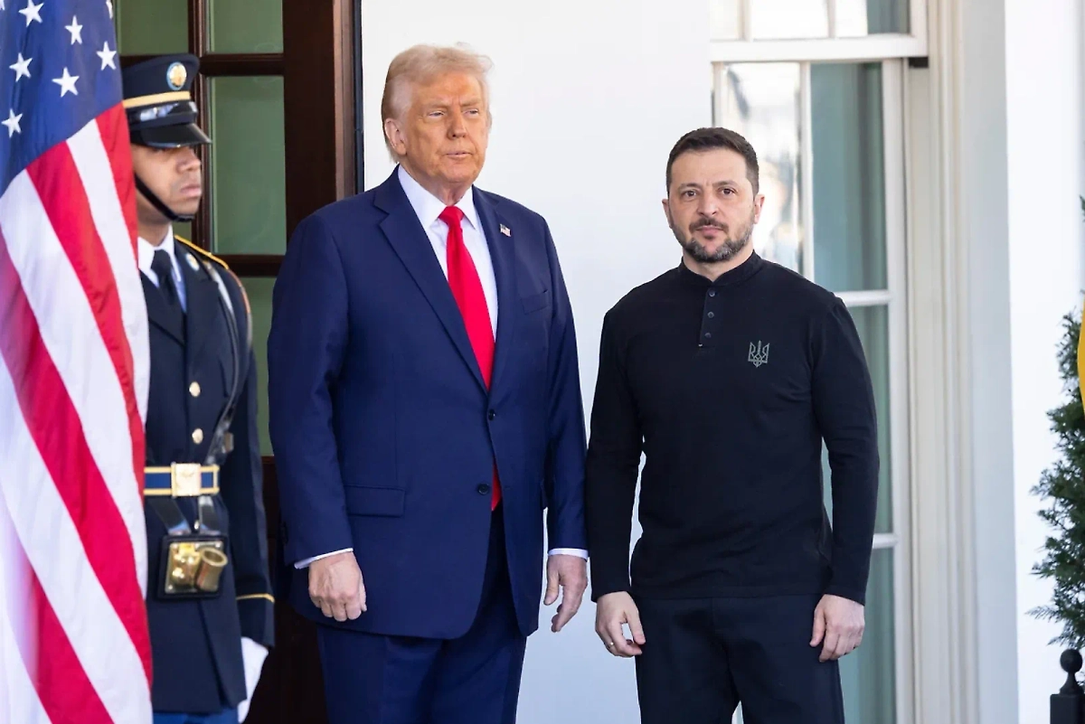 Обложка © Shutterstock / FOTODOM / Joshua Sukoff