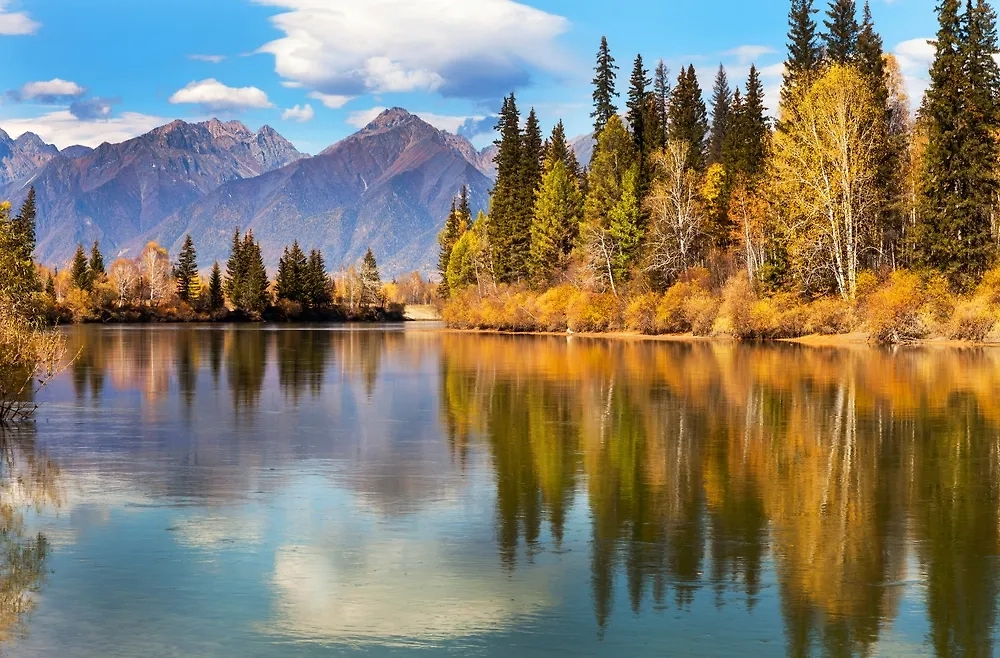 Обложка © Shutterstock / FOTODOM / Katvic