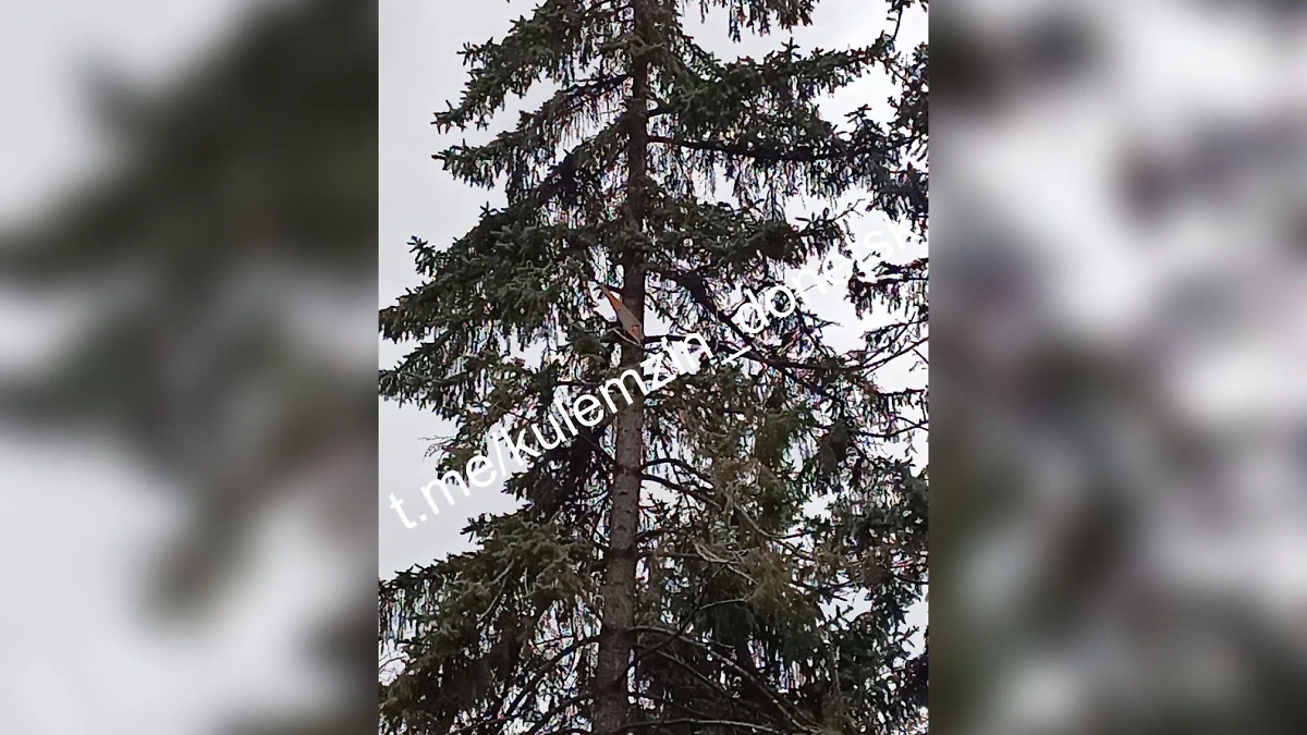 Фото © Социальные сети мэра Донецка Алексея Кулемзина