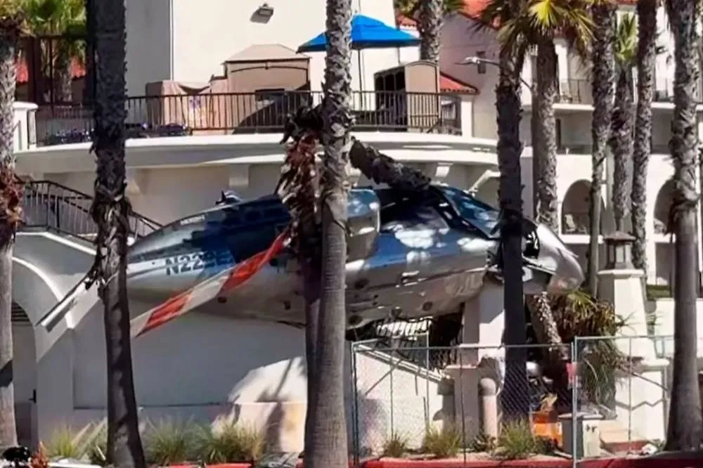 Обложка © X / OC_Scanner