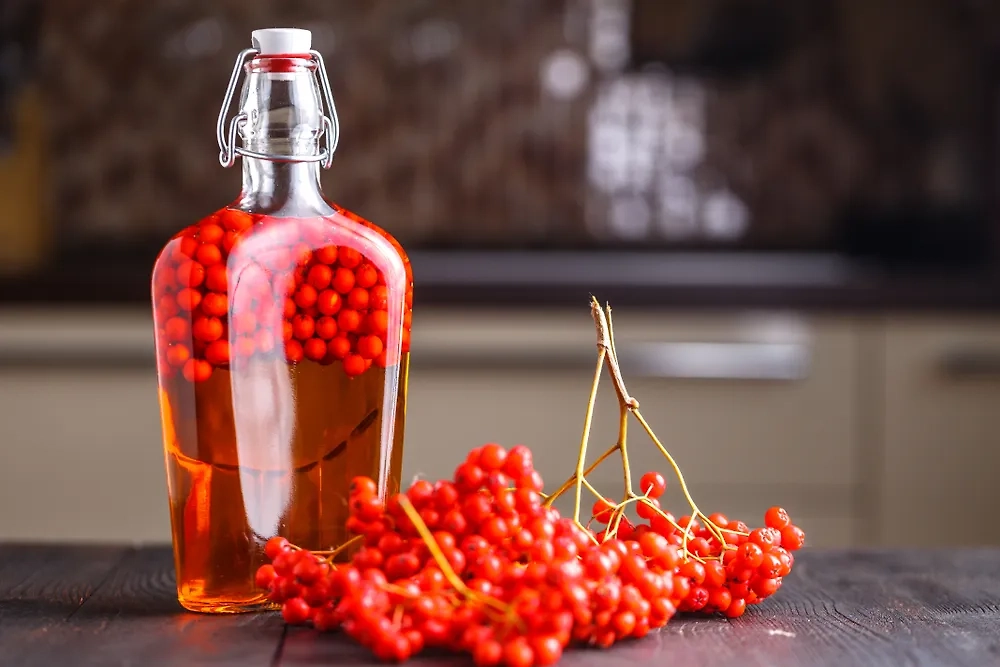 Обложка © Shutterstock / FOTODOM / Tasha Cherkasova