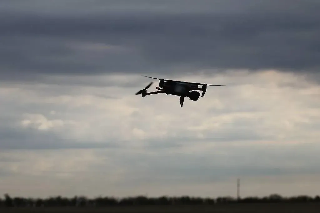 Обложка © ТАСС / Александр Полегенько