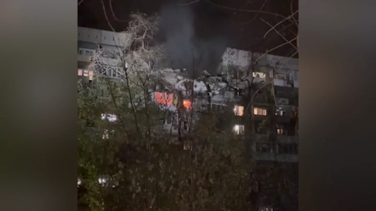 Обложка © Telegram / Оса Луганск