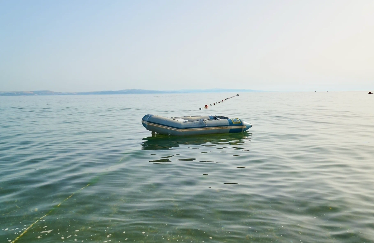 Обложка © freepik / freestockcenter