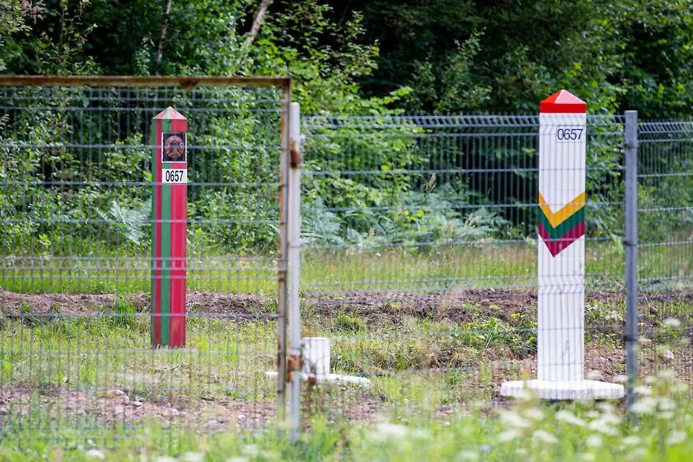 Обложка © Shutterstock / FOTODOM / Karolis Kavolelis