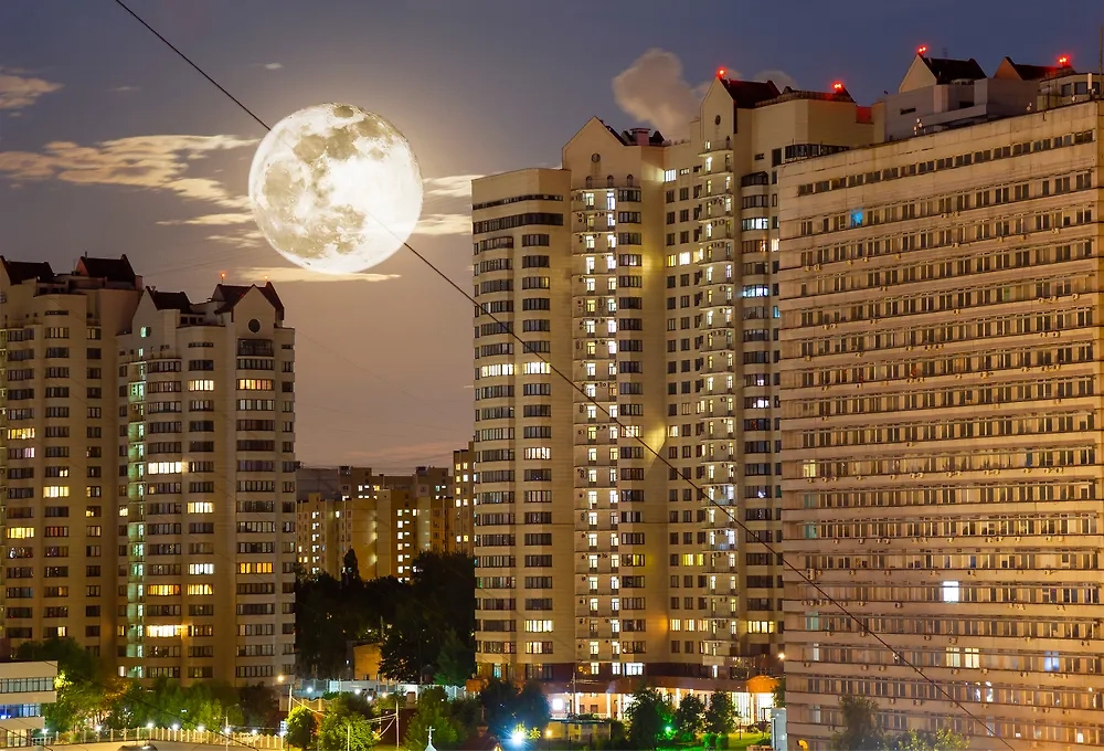 Обложка © Shutterstock / FOTODOM / VLADJ55