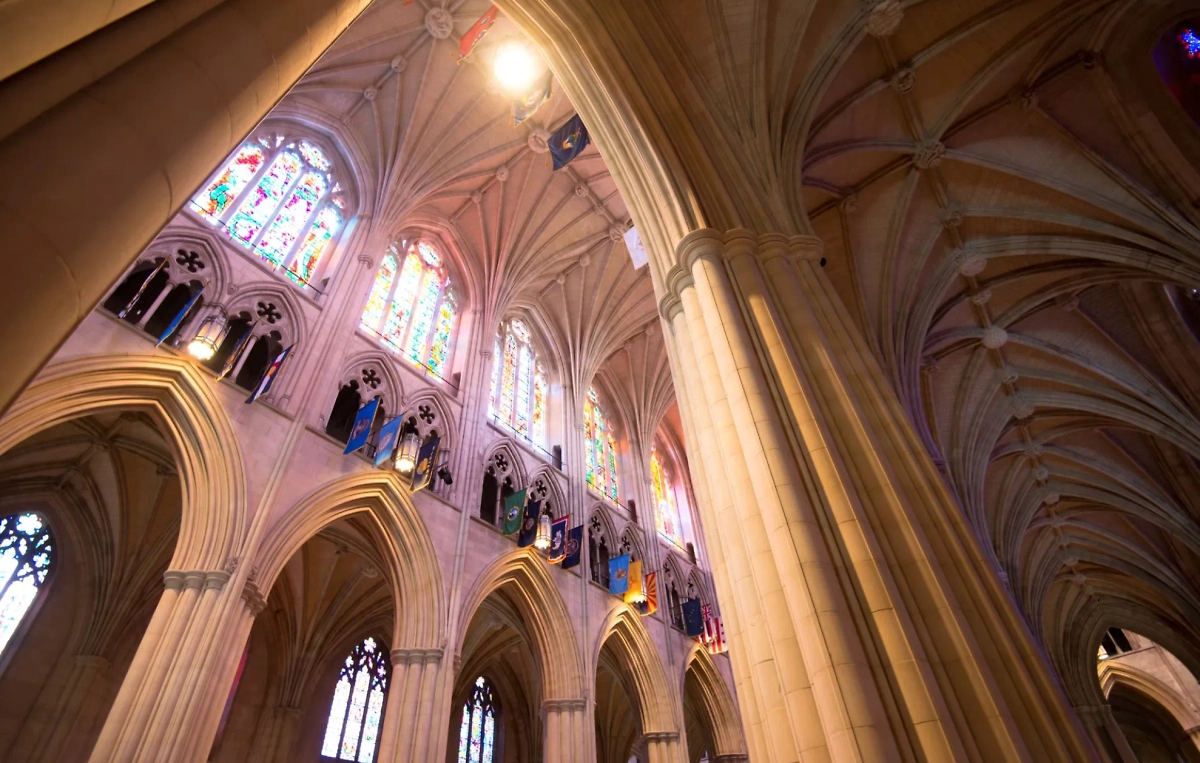 Обложка © freepik / luis_molinero