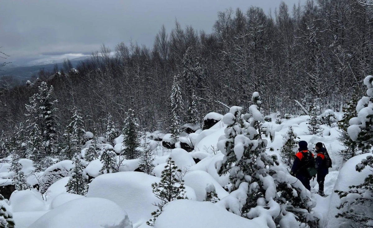 Обложка © Telegram / ДПСО «ЛизаАлерт» Красноярского края
