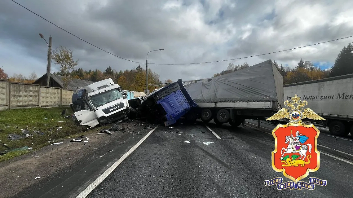 ДТП на трассе М-1 «Беларусь». Обложка © Telegram / Подмосковная полиция