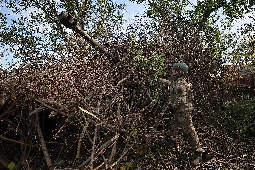 Обложка © ТАСС / Дмитрий Ягодкин