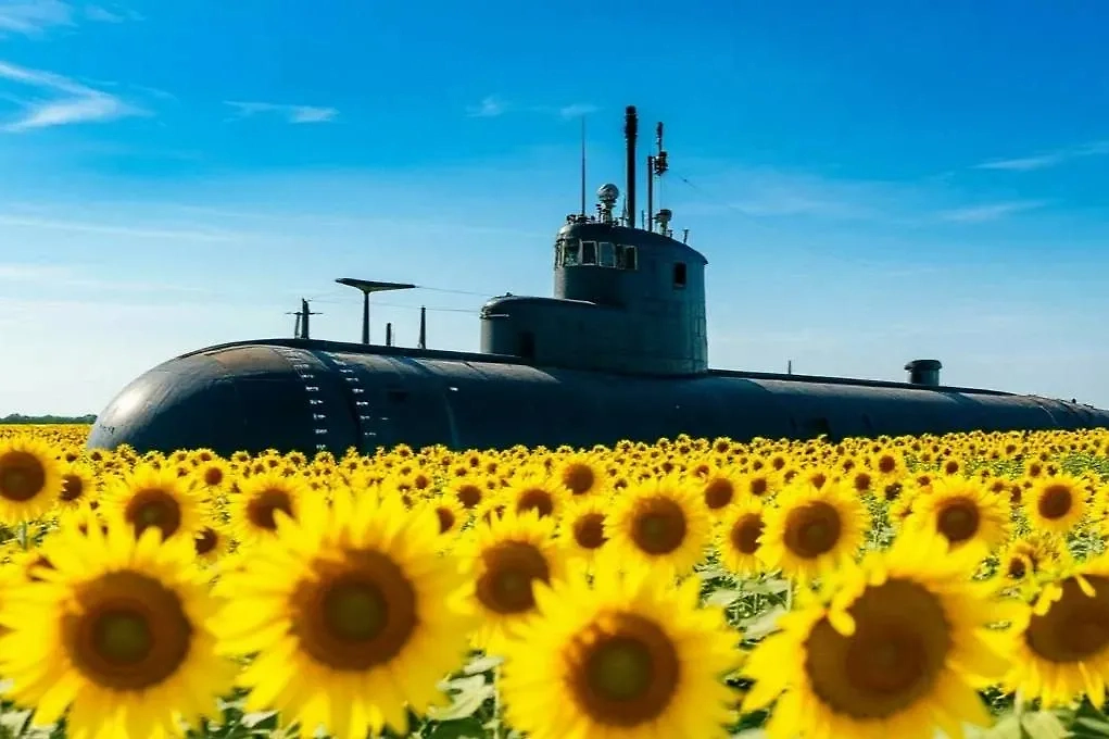 Обложка © «Шедеврум»