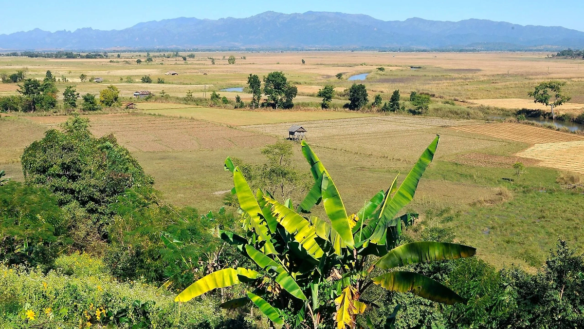 Обложка © Wikipedia