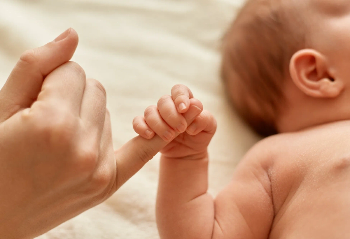 Обложка © freepik / user18526052