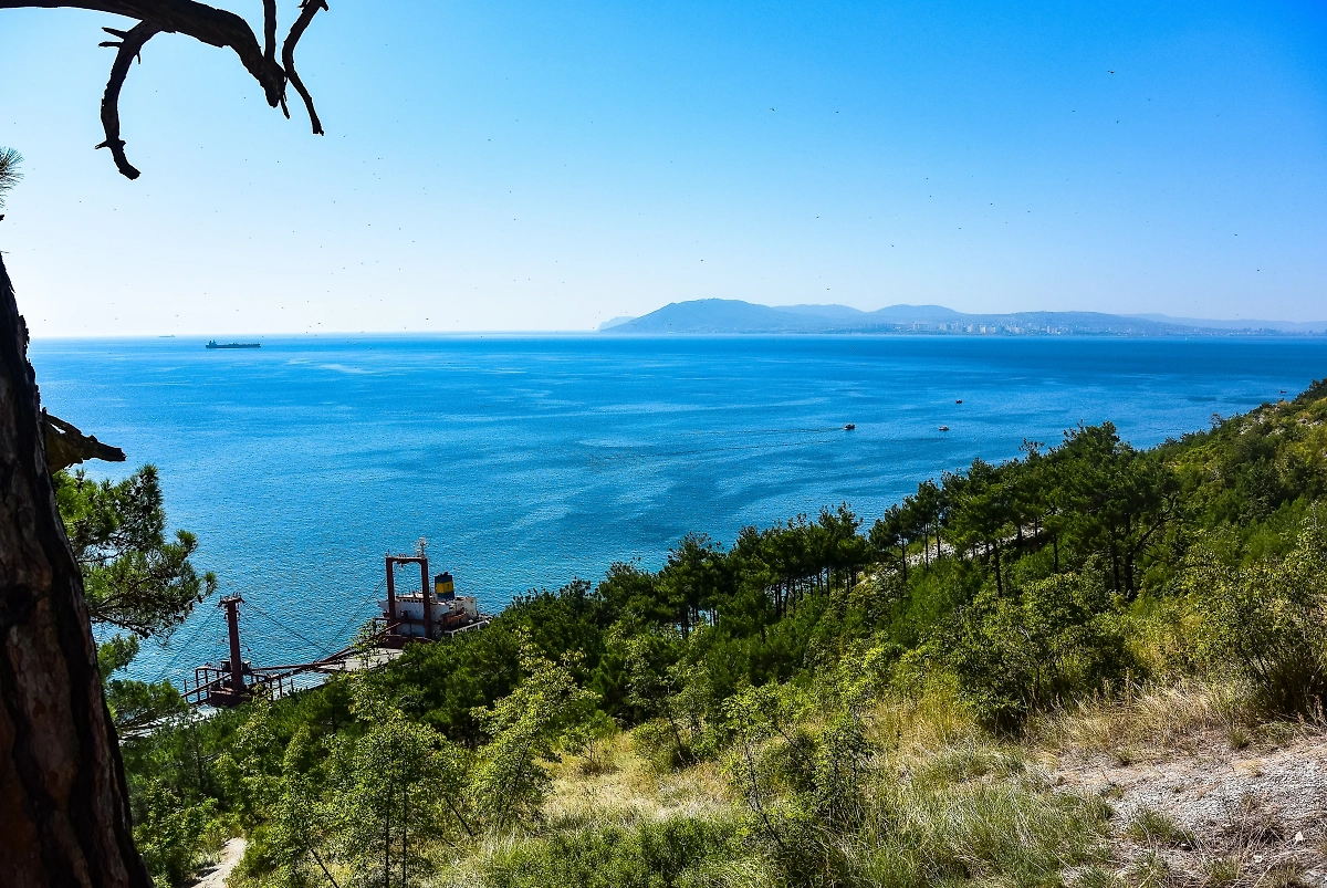 Обложка © Shutterstock / FOTODOM / Victoria_Balobanova