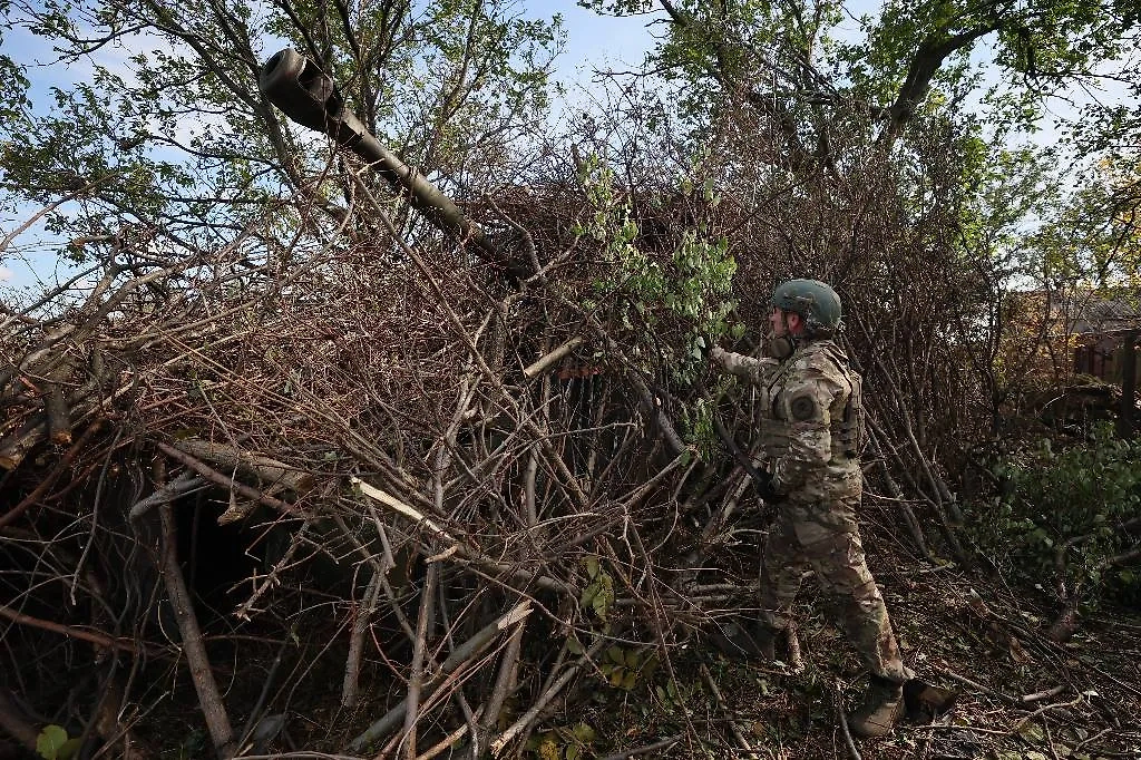 Обложка © ТАСС / Дмитрий Ягодкин