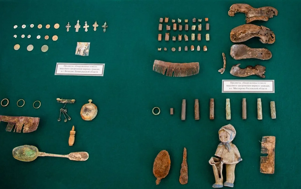 Обложка © Telegram / Следком