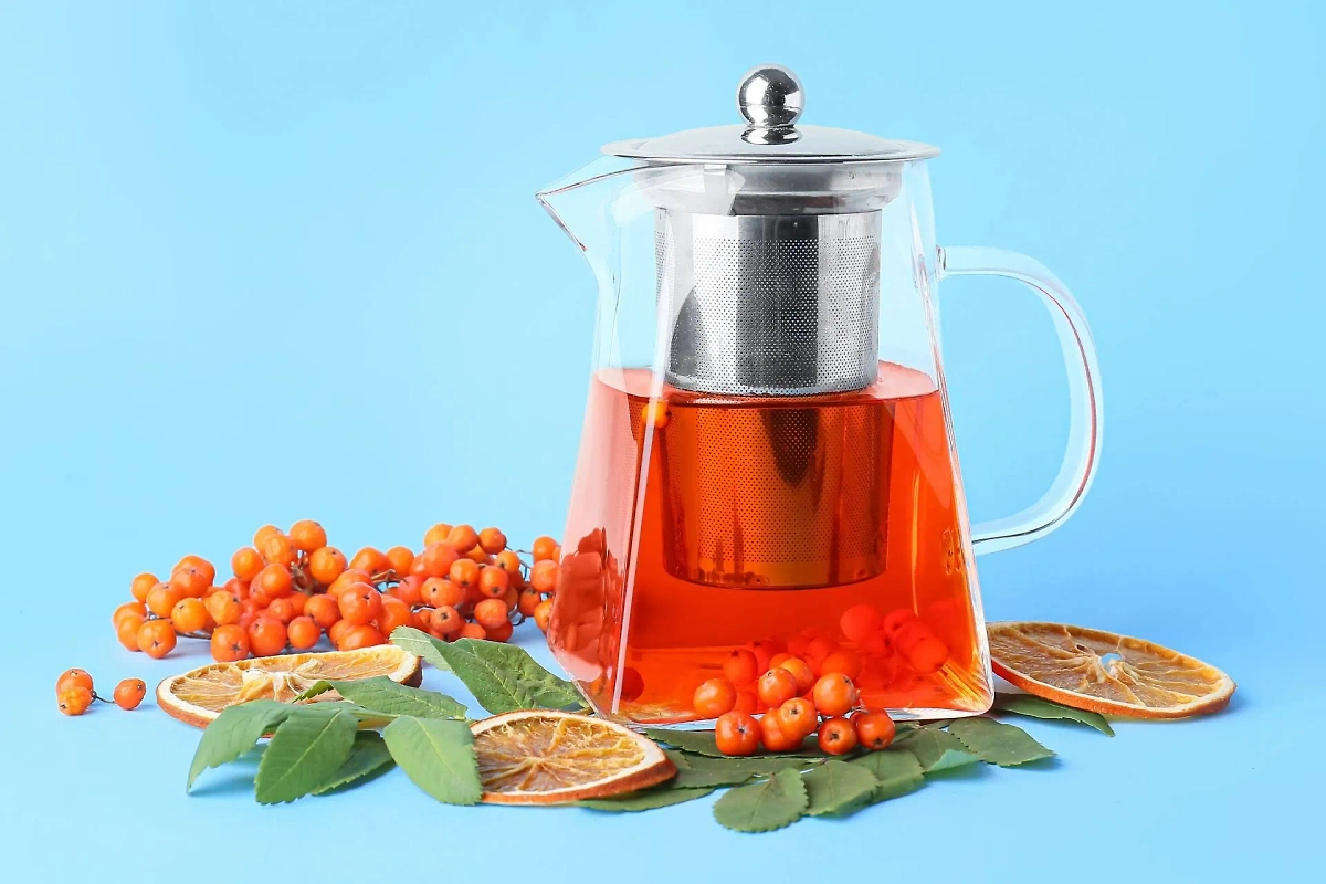 Народная медицина давно любит и красноплодную, и черноплодную рябину. Она помогает от многих симптомов. Фото © Shutterstock / FOTODOM / Pixel-Shot