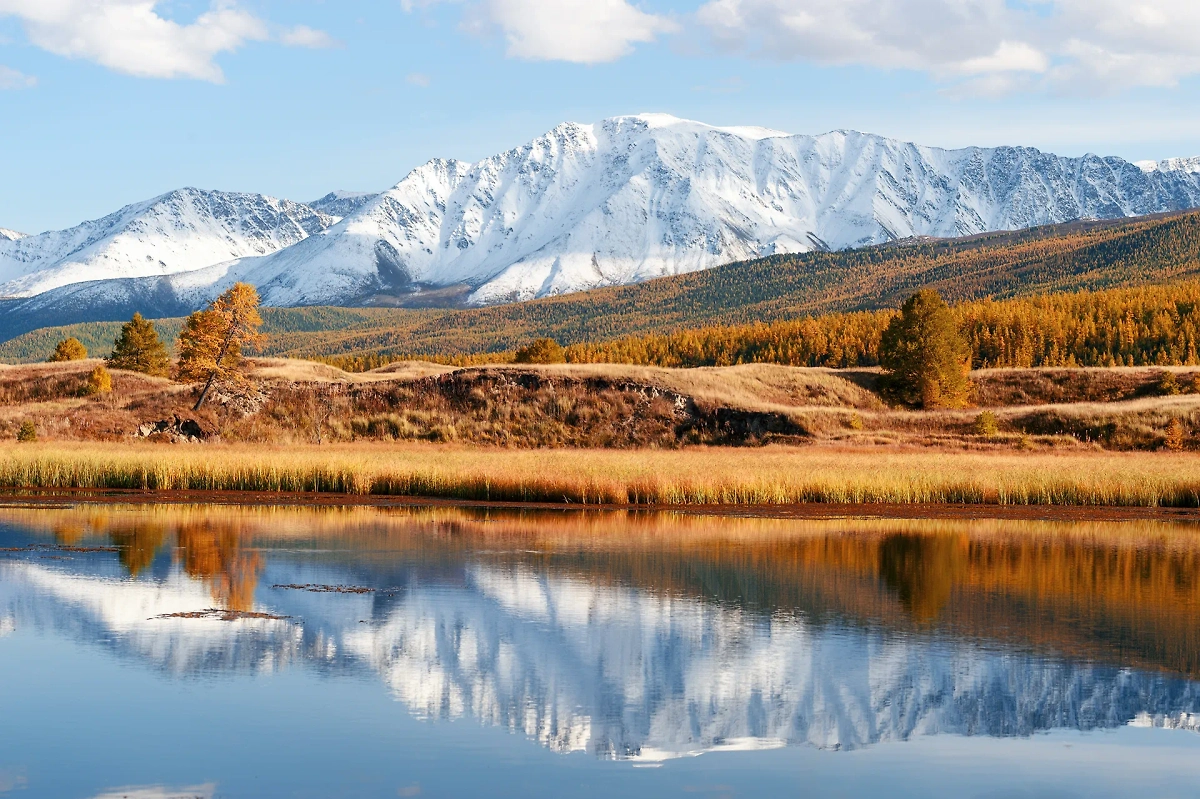 Обложка © Shutterstock / FOTODOM / EvgenySHCH