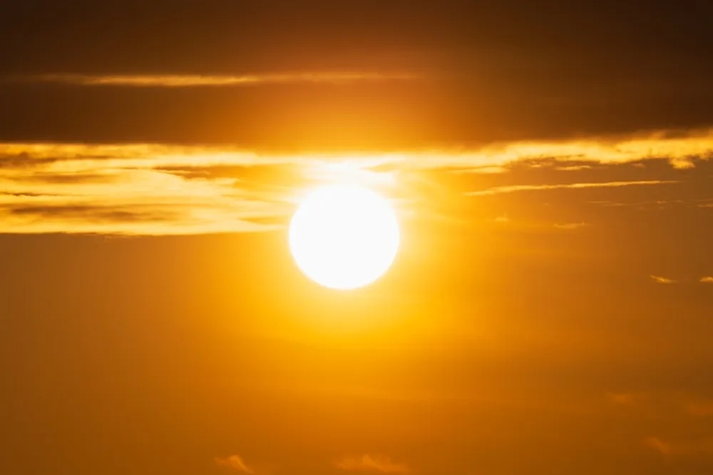 Обложка © Shutterstock / FOTODOM / Dmitri T