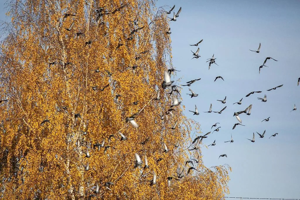 Обложка © ТАСС / Даниил Зинченко