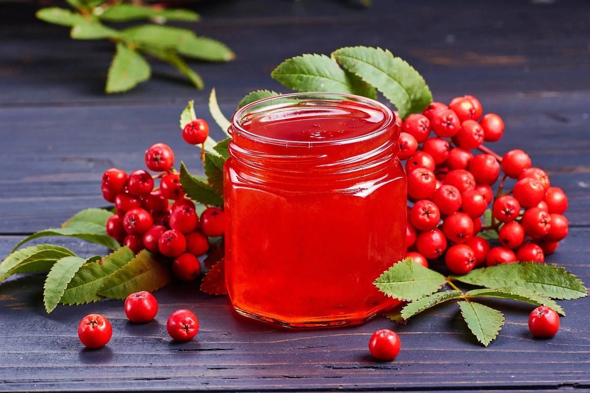 Самые популярные рецепты из рябины — в основном это сладости или напитки. Например, рябиновое желе. Фото © Shutterstock / FOTODOM / robertsre