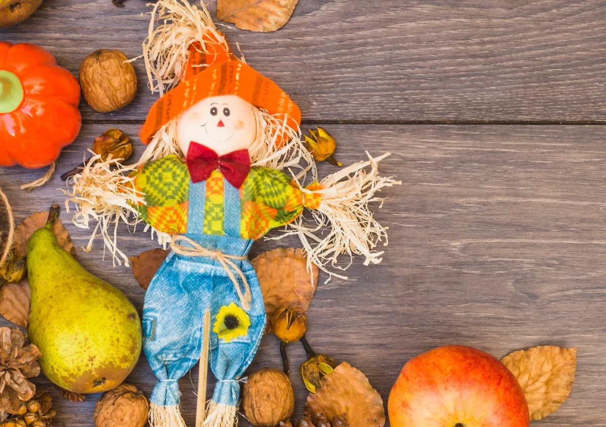 Обложка © freepik