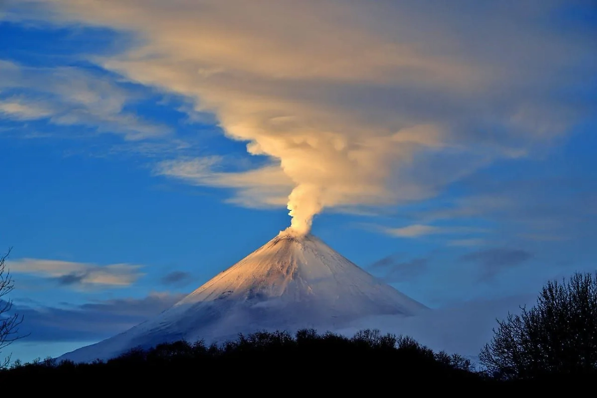 Обложка © Telegram / Telegram / KVERT ИВиС ДВО РАН / Ю. В. Демянчук