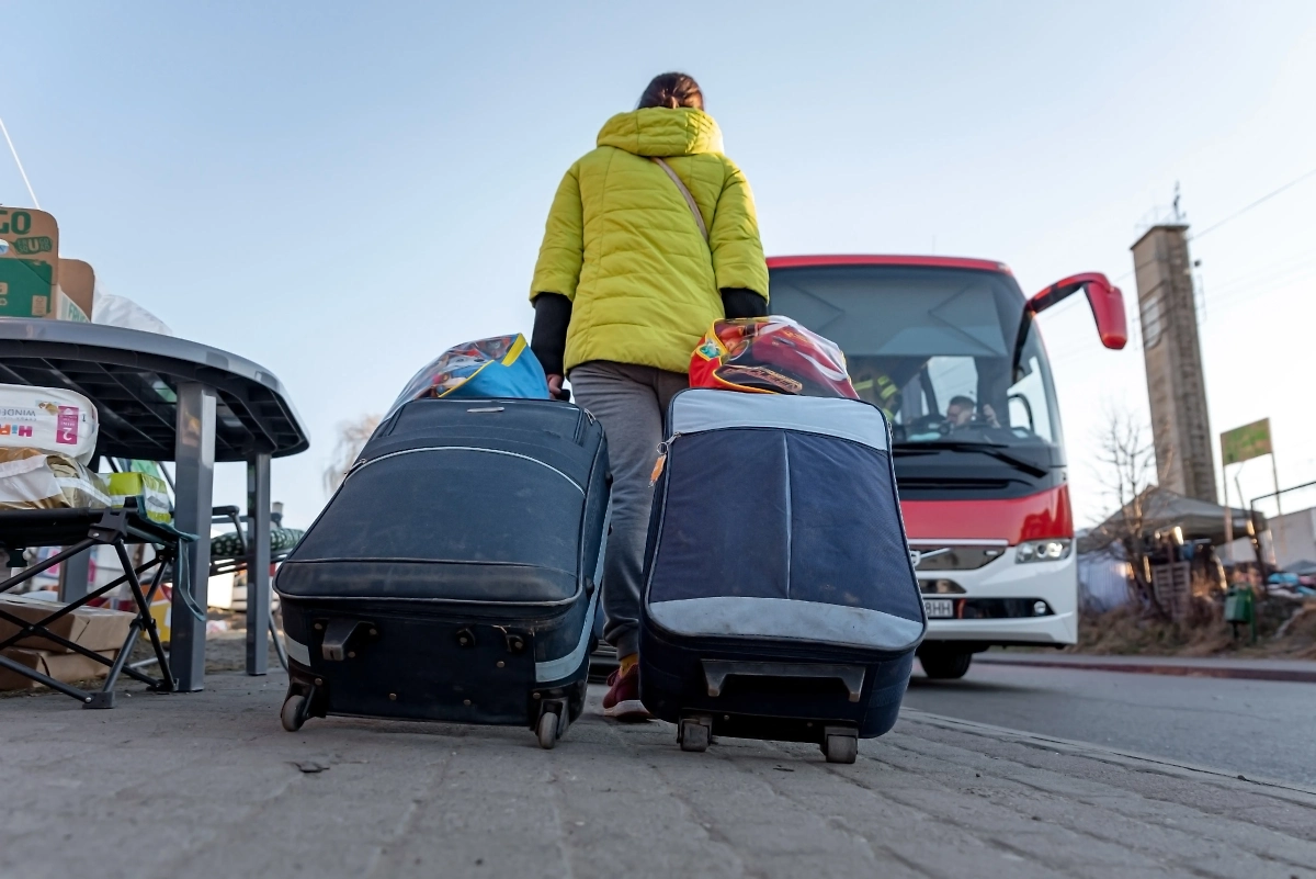 Обложка © Shutterstock / FOTODOM / Damian Lugowski