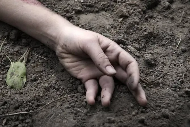 Обложка © Shutterstock / FOTODOM / ArtMari