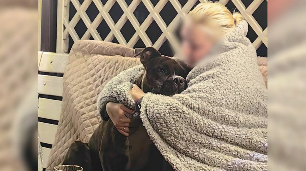 Обложка © Telegram / Mash