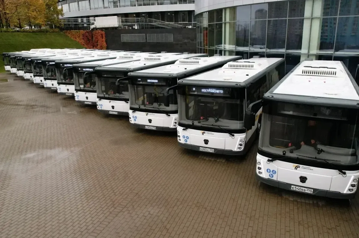 Обложка © Пресс-служба губернатора Московской области / Александра Степанова