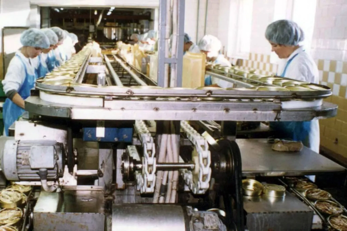 Как делали шпроты в СССР: технология производства легендарных консервов. Фото © ТАСС / Лисицын