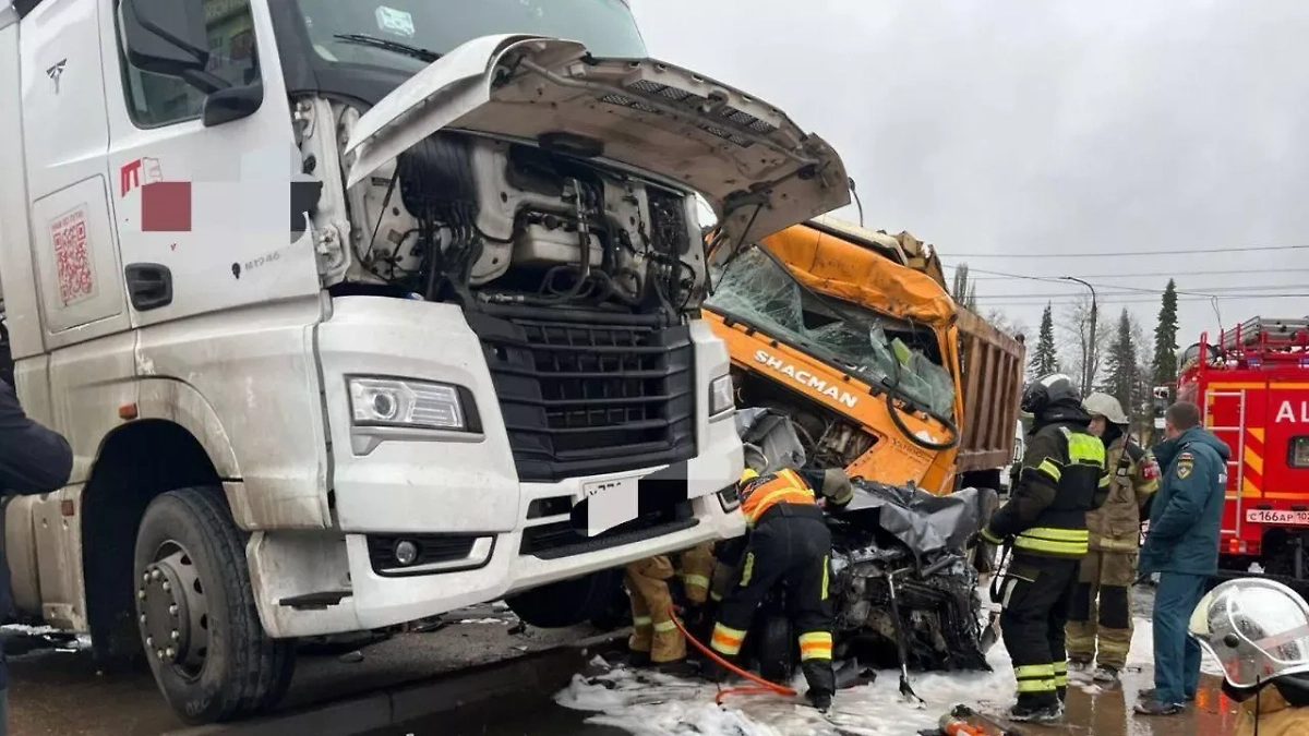 Обложка © Госавтоинспекция Уфы/Telegram