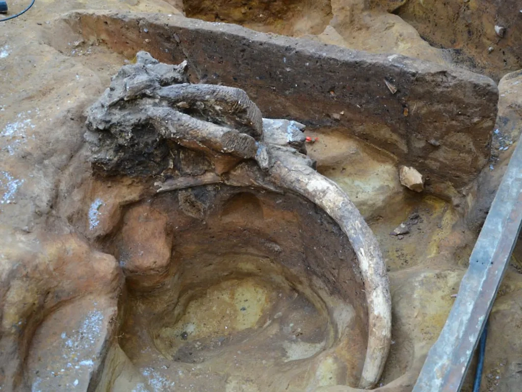 Обложка © Telegram / Коломенско-Зарайский государственный музей-заповедник