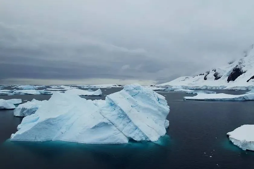 Обложка © Shutterstock / FOTODOM / Nature Wildlife Videos