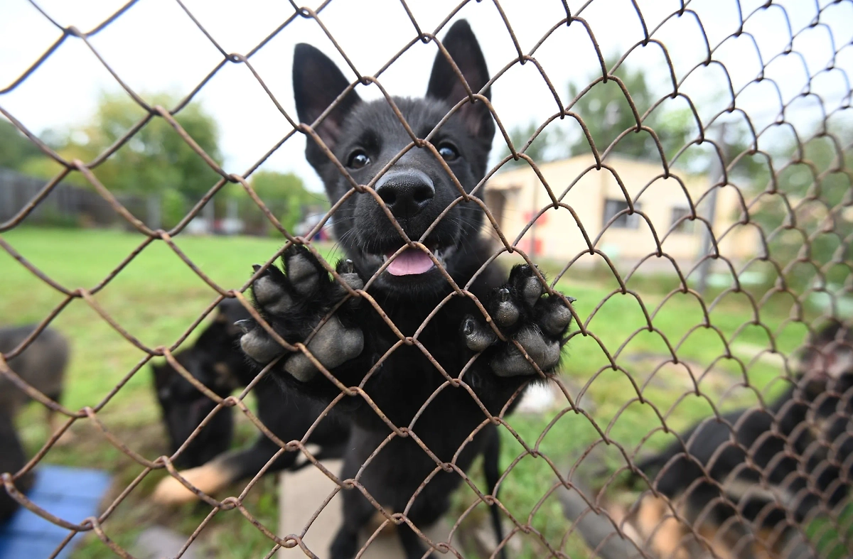 Обложка © Life.ru