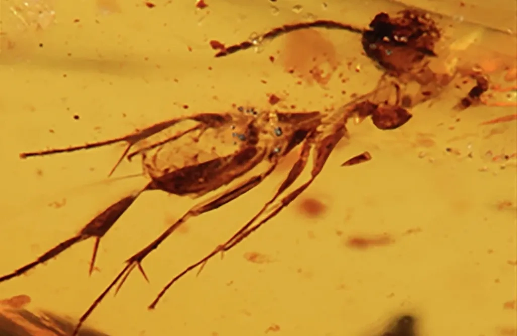 Обложка © Communications Earth &amp; Environment