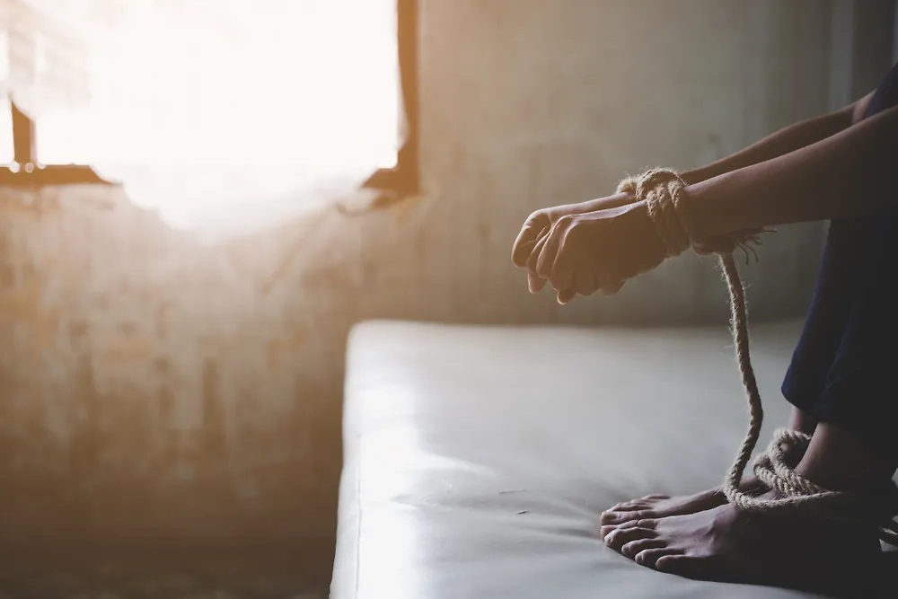 Обложка © Shutterstock / FOTODOM / Nutlegal Photographer