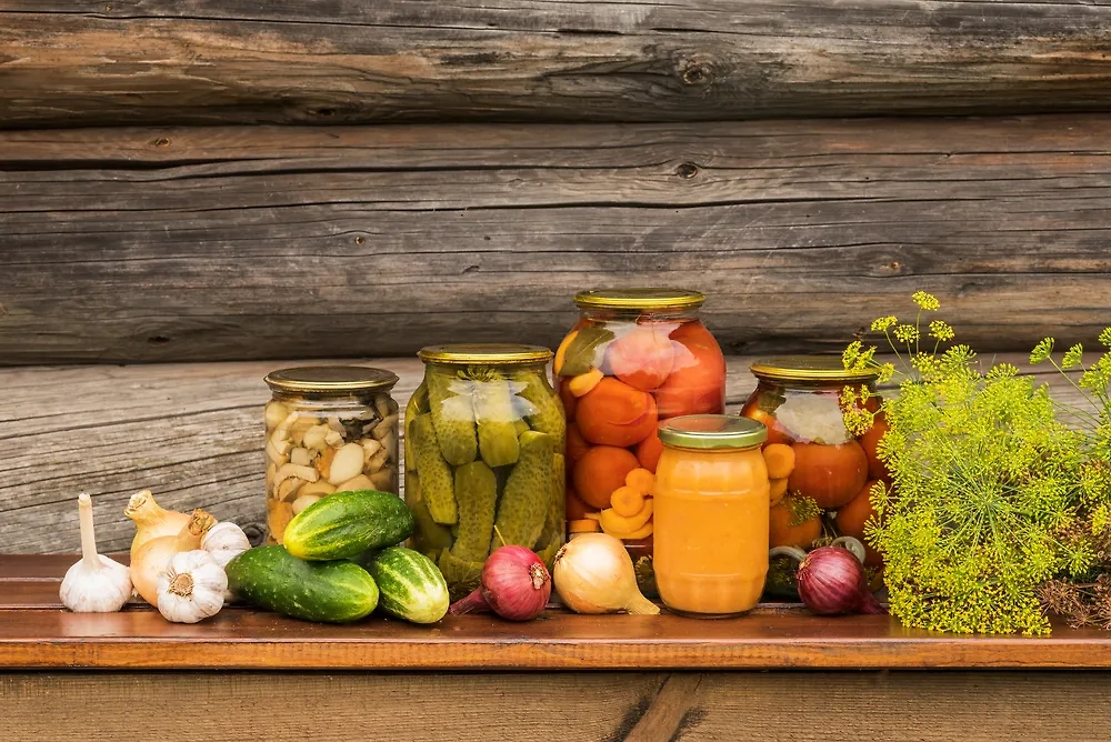 Обложка © Shutterstock / FOTODOM / Alexsander Ovsyannikov