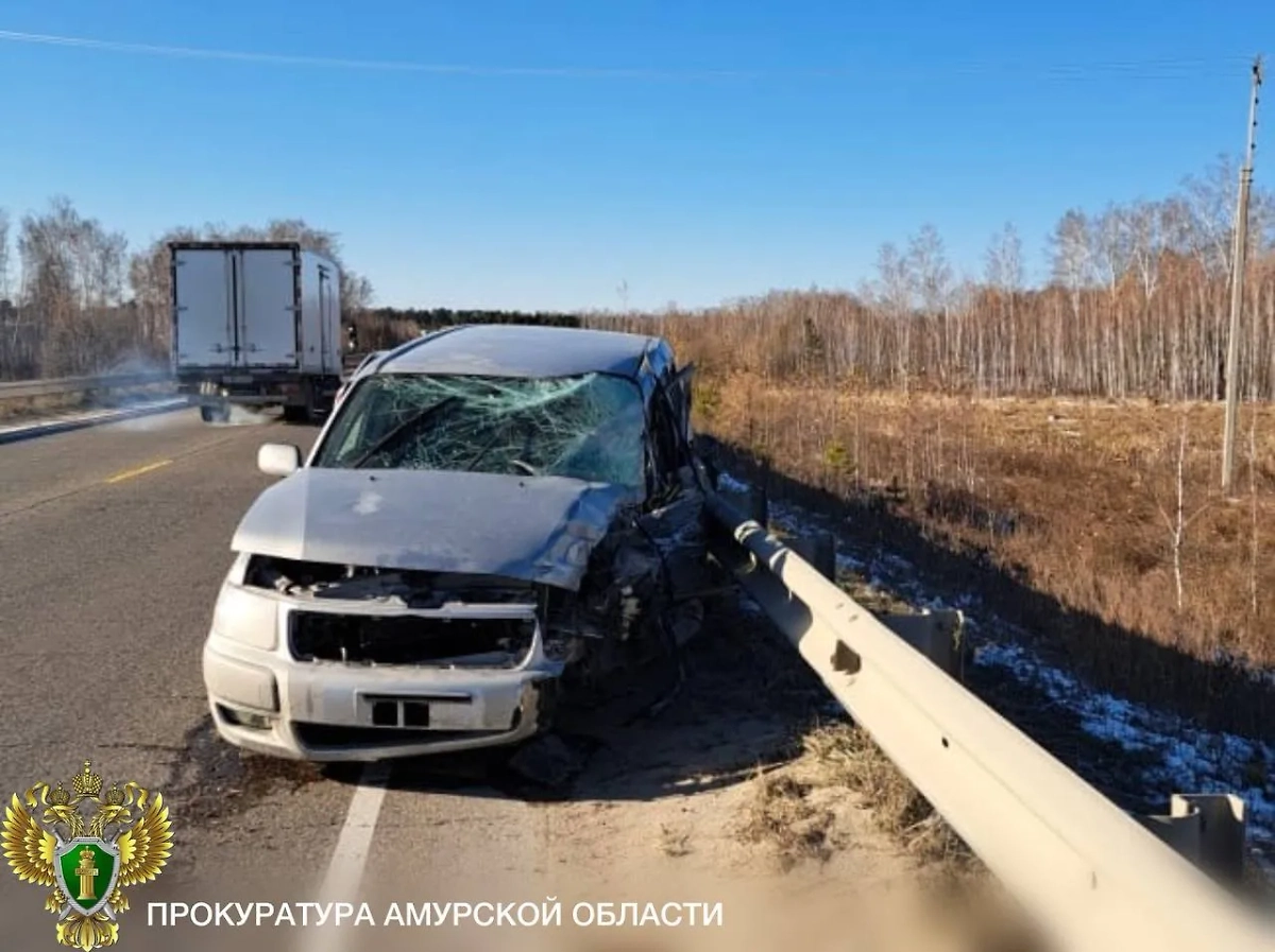 ДТП в Амурской области. Фото © Telegram / Прокуратура Амурской области