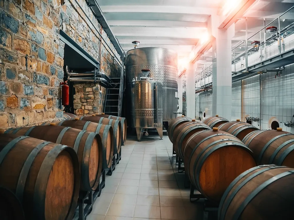 Обложка © Shutterstock / FOTODOM / DedMityay