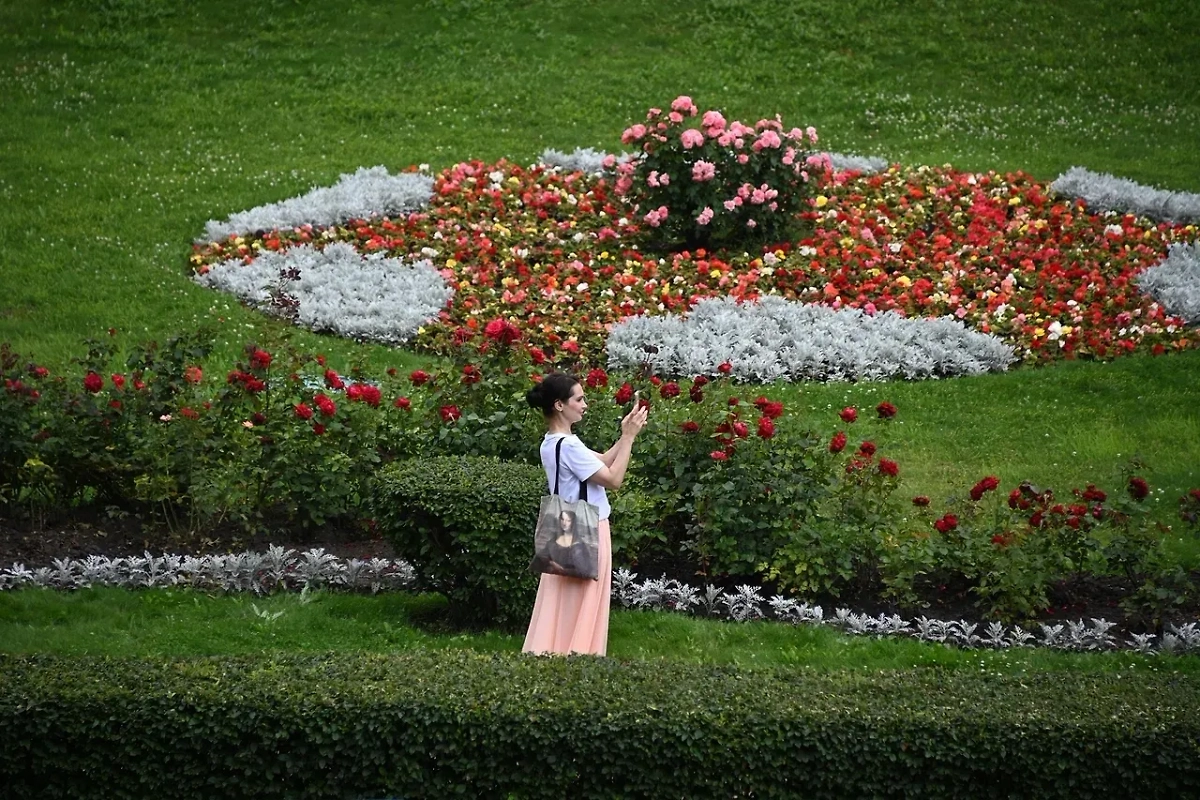 Обложка © Life.ru