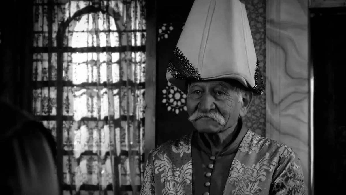 Турецкий актёр Ариф Эркин Гюзельбейоглу. Обложка © kino-teatr.ru