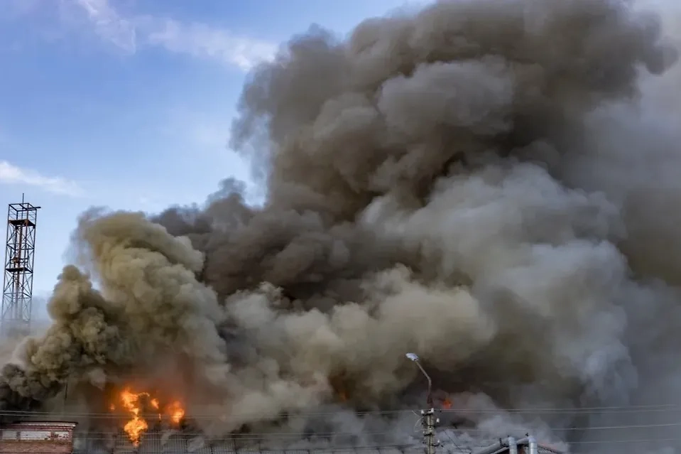 Обложка © Shutterstock / FOTODOM / ARTpok