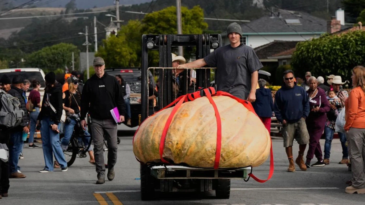 Инженер из Калифорнии вырастил тыкву весом больше тонны и выиграл чемпионат. Фото © Х / Based & Viral