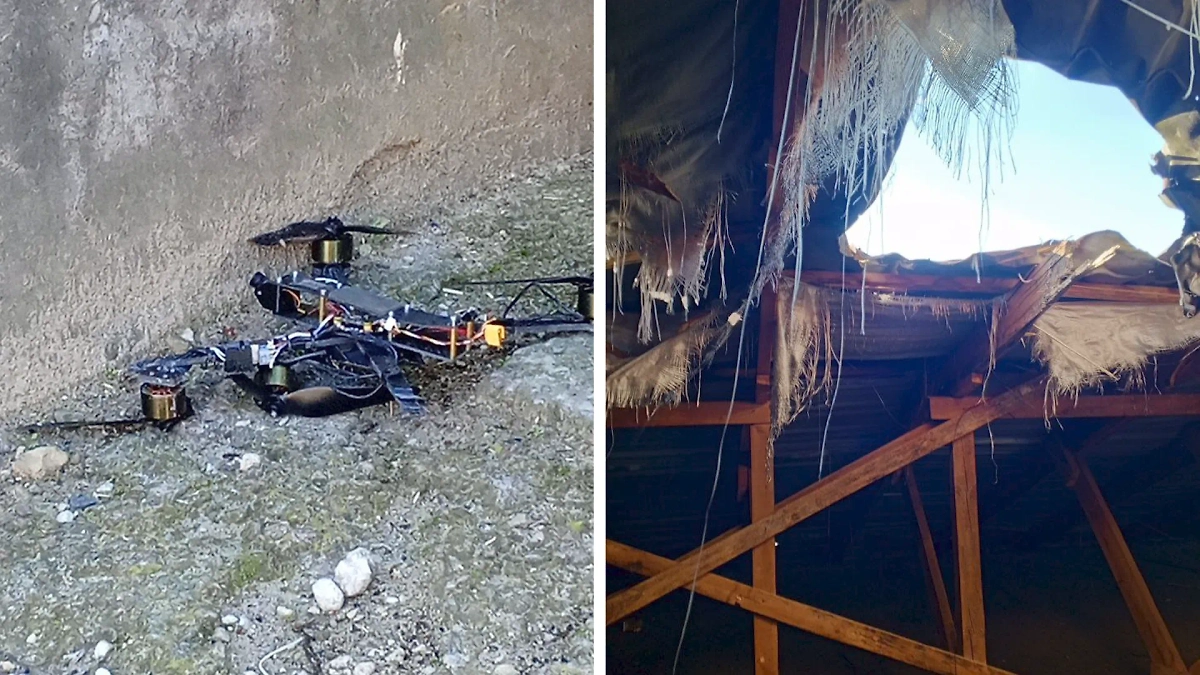 Обложка © Telegram / Владимир Сальдо